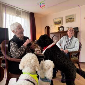 Stichting Knuffeldier