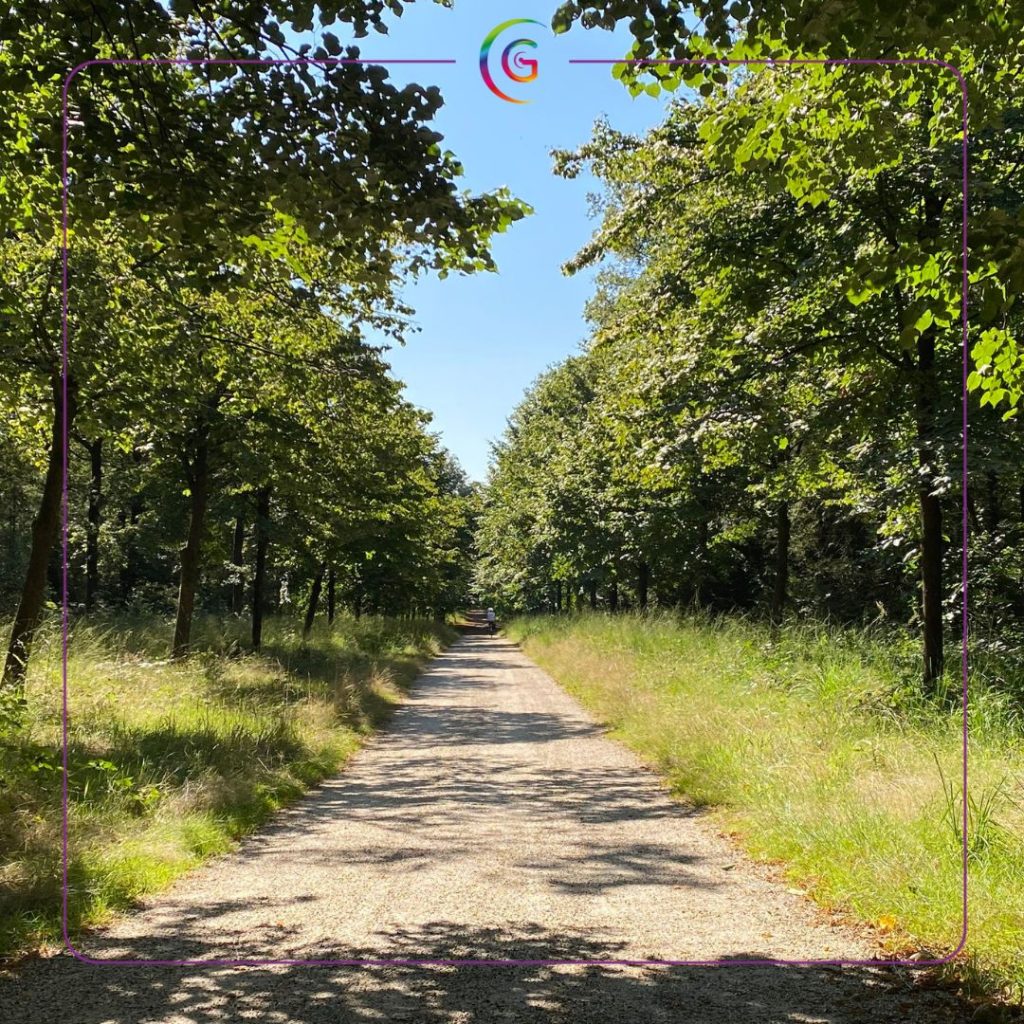 Natuurbegraafplaats Mookerheide